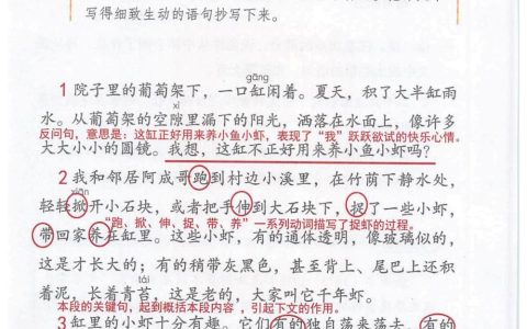 《小虾》课堂笔记全文