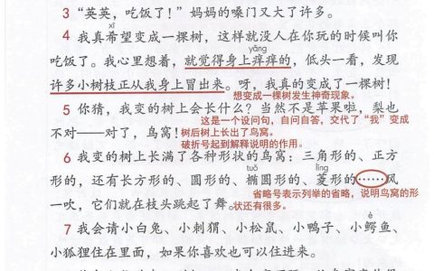 《我变成了一棵树》课堂笔记全文