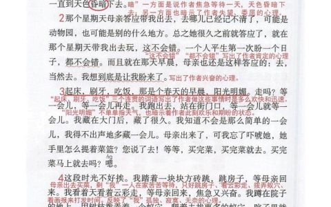 《那个星期天》课堂笔记全文