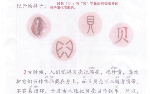 《“贝”的故事》课堂笔记全文