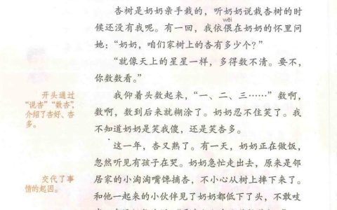 四年级上册《习作例文》课堂笔记全文