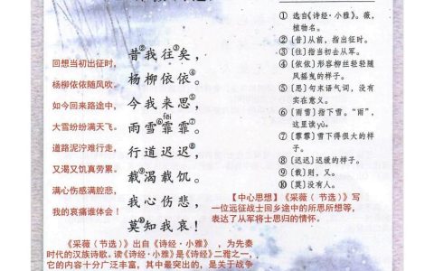 《采薇(节选)》课堂笔记全文