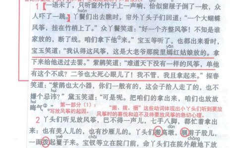 《红楼春趣》课堂笔记全文