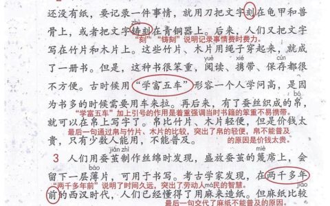 《纸的发明》课堂笔记全文
