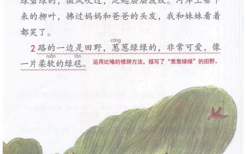 《一匹出色的马》课堂笔记全文