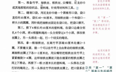 习作例文《风向袋的制作》课堂笔记全文