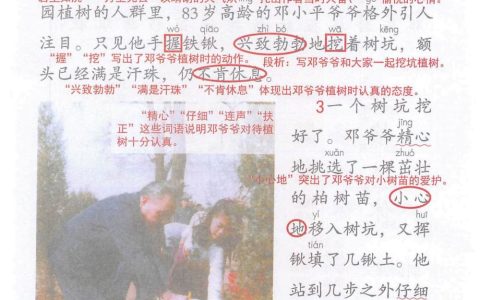 《邓小平爷爷植树》课堂笔记全文