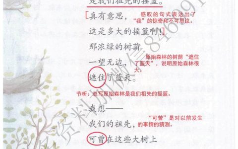 《祖先的摇篮》课堂笔记全文