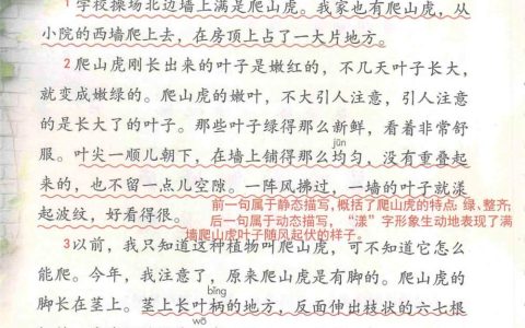 《爬山虎的脚》课堂笔记全文