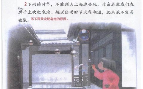 《肥皂泡》课堂笔记全文