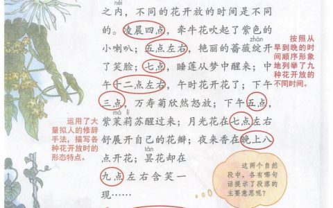 《花钟》课堂笔记全文