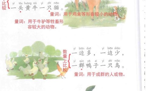 《大小多少》课堂笔记全文