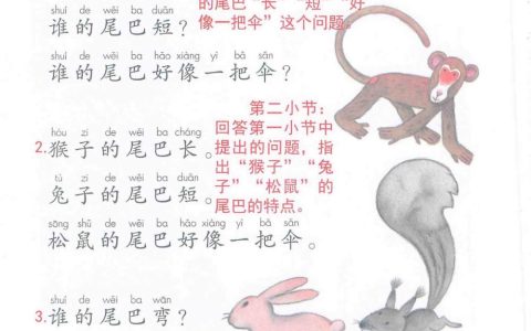《比尾巴》课堂笔记全文