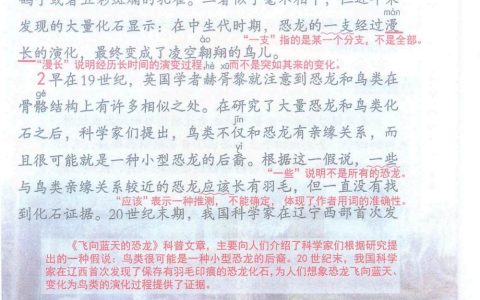 《飞向蓝天的恐龙》课堂笔记全文
