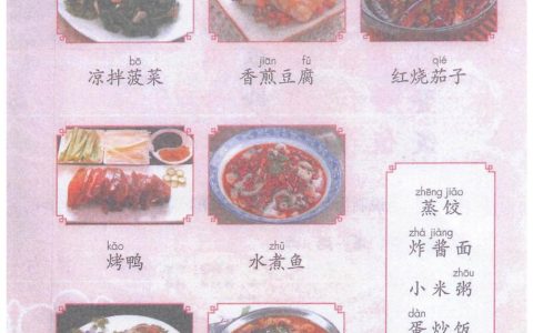 《中国美食》课堂笔记全文