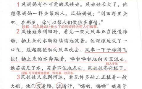 《风娃娃》课堂笔记全文