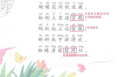 《动物儿歌》课堂笔记全文