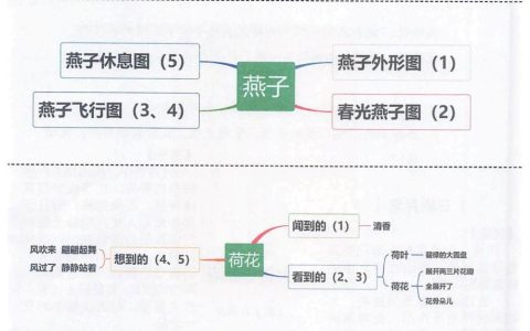 《古诗三首》《燕子》《荷花》《昆虫备忘录》思维导图全文