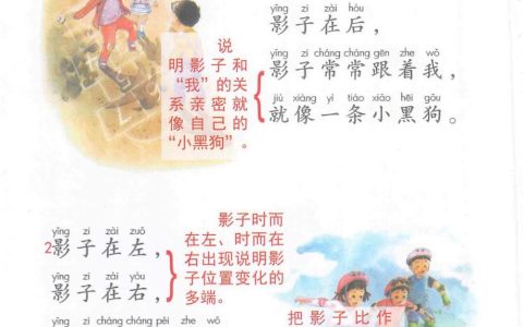 《影子》课堂笔记全文