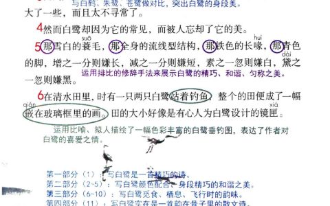 《白鹭》课堂笔记全文