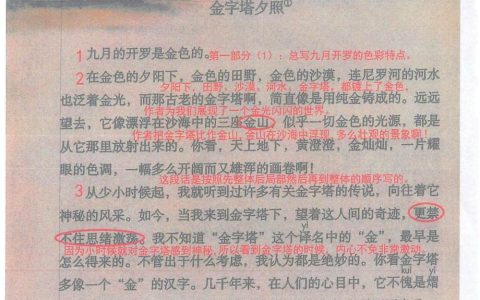 《金字塔》课堂笔记全文