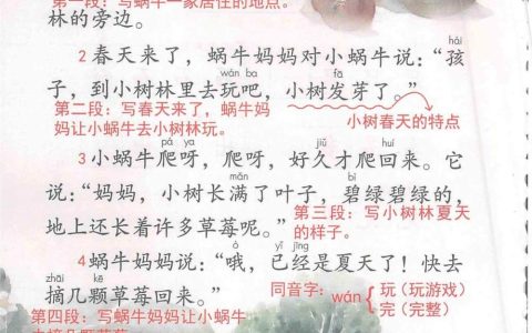 《小蜗牛》课堂笔记全文