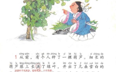 《我要的是葫芦》课堂笔记全文