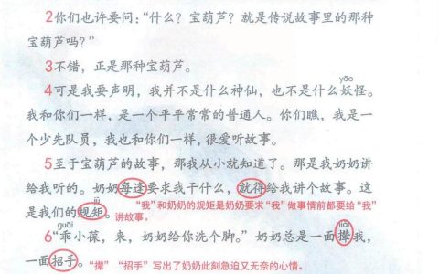 《宝葫芦的秘密（节选）》课堂笔记全文