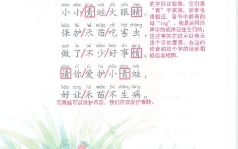 《小青蛙》课堂笔记全文