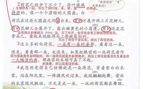 《荷花》课堂笔记全文