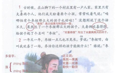 《枣核》课堂笔记全文